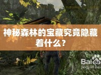 神秘森林的寶藏究竟隱藏著什么？