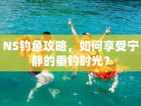 NS釣魚攻略，如何享受寧靜的垂釣時(shí)光？