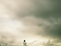合歡派加點(diǎn)怎樣配？高爆發(fā)靈活戰(zhàn)術(shù)一網(wǎng)打盡！