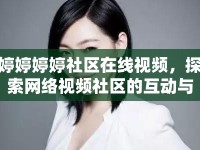 婷婷婷婷社區(qū)在線視頻，探索網(wǎng)絡(luò)視頻社區(qū)的互動(dòng)與影響