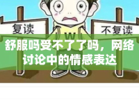 舒服嗎受不了了嗎，網(wǎng)絡(luò)討論中的情感表達(dá)