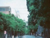 地下城手游如何玩轉(zhuǎn)經(jīng)典與創(chuàng)新？