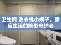 衛(wèi)生間 洗衣機小姨子，家庭生活的隱形守護者
