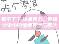 受不了了 快點用力，網(wǎng)絡(luò)討論中的情緒宣泄與表達