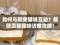 如何與萌寵貓咪互動？解鎖溫馨貓咪訪客攻略！