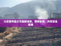 大慶肇州縣火災(zāi)最新消息，警鐘長(zhǎng)鳴，共筑安全防線