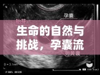 生命的自然與挑戰(zhàn)，孕囊流出的經(jīng)歷