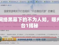 網(wǎng)絡(luò)黑幕下的不為人知，曝光臺(tái)1揭秘