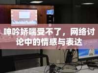 呻吟嬌喘受不了，網(wǎng)絡討論中的情感與表達
