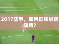 2017法甲，如何征服綠茵戰(zhàn)場？