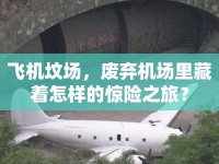 飛機墳場，廢棄機場里藏著怎樣的驚險之旅？