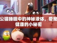 公貓睡眠中的神秘液體，愛(ài)寵健康的小秘密