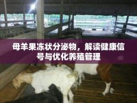 母羊果凍狀分泌物，解讀健康信號與優(yōu)化養(yǎng)殖管理