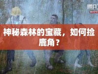 神秘森林的寶藏，如何撿鹿角？