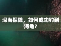 深海探險(xiǎn)，如何成功釣到海龜？