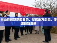 肖山縣最新新聞?lì)^條，聚焦地方動(dòng)態(tài)，傳遞最新資訊