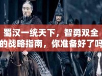 蜀漢一統(tǒng)天下，智勇雙全的戰(zhàn)略指南，你準備好了嗎？