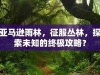 亞馬遜雨林，征服叢林，探索未知的終極攻略？