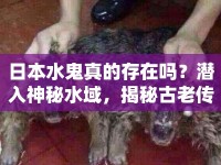 日本水鬼真的存在嗎？潛入神秘水域，揭秘古老傳說(shuō)