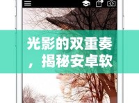 光影的雙重奏，揭秘安卓軟件中的雙重曝光藝術(shù)魅力