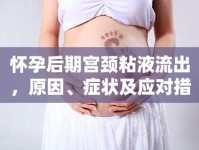 懷孕后期宮頸粘液流出，原因、癥狀及應對措施