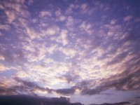 鎮(zhèn)魔曲手游精力總不夠？怎樣獲取和使用效率翻倍？