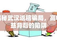 揭秘武漢返租騙局，高收益背后的陷阱