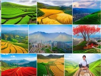 51精產(chǎn)國品一二三產(chǎn)區(qū)差異大揭秘：你了解多少？如何選擇？