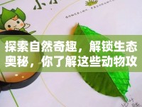 探索自然奇趣，解鎖生態(tài)奧秘，你了解這些動(dòng)物攻略嗎？