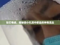 鈦釘奇跡，揭秘微小孔洞中瘀血的神奇流出