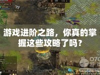 游戲進(jìn)階之路，你真的掌握這些攻略了嗎？