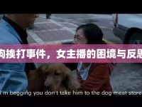 狗挨打事件，女主播的困境與反思