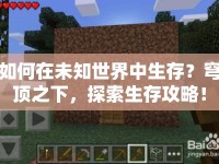 如何在未知世界中生存？穹頂之下，探索生存攻略！