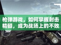槍彈游戲，如何掌握射擊精髓，成為戰(zhàn)場(chǎng)上的不敗傳說？
