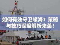 如何有效守衛(wèi)領海？策略與技巧深度解析來襲！