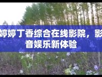婷婷丁香綜合在線影院，影音娛樂新體驗