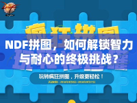 NDF拼圖，如何解鎖智力與耐心的終極挑戰(zhàn)？