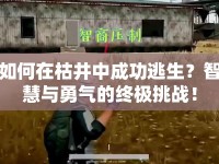 如何在枯井中成功逃生？智慧與勇氣的終極挑戰(zhàn)！