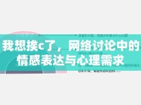 我想挨c了，網(wǎng)絡(luò)討論中的情感表達與心理需求