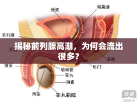 揭秘前列腺高潮，為何會流出很多？