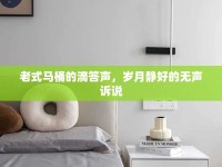 老式馬桶的滴答聲，歲月靜好的無(wú)聲訴說(shuō)