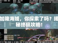 加隆海域，你探索了嗎？揭秘終極攻略！