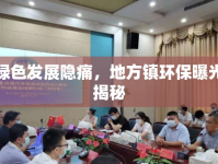 綠色發(fā)展隱痛，地方鎮(zhèn)環(huán)保曝光揭秘
