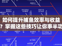 如何提升捕魚效率與收益？掌握這些技巧讓你事半功倍！