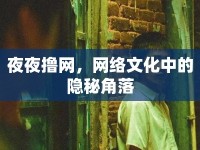 夜夜擼網(wǎng)，網(wǎng)絡(luò)文化中的隱秘角落