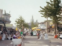 為何一本伊人能在文學(xué)世界中散發(fā)獨(dú)特魅力？