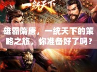 雄霸隋唐，一統(tǒng)天下的策略之旅，你準(zhǔn)備好了嗎？
