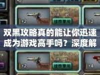雙黑攻略真的能讓你迅速成為游戲高手嗎？深度解析與實戰(zhàn)技巧揭秘！