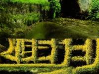 為什么問道手游沒有香格里拉？揭秘東方修仙世界的文化基因！，（解析，這個標(biāo)題以疑問句切入，直接點明用戶潛在疑問；揭秘對應(yīng)文化密碼，強化探索感；將文化密碼轉(zhuǎn)化為更易懂的文化基因，同時用東方修仙世界替代泛泛的游戲背景，突出游戲特色，增強對目標(biāo)玩家的吸引力。）