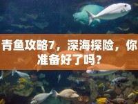 青魚攻略7，深海探險(xiǎn)，你準(zhǔn)備好了嗎？
